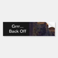 Wolf  - "Back Off"