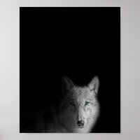 Wolf, black and white, modern photography