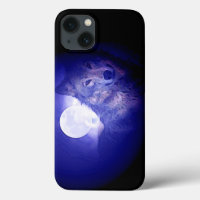 Wolf & Blue Night
