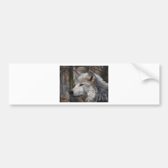 Wolf Bumper Sticker (Front)