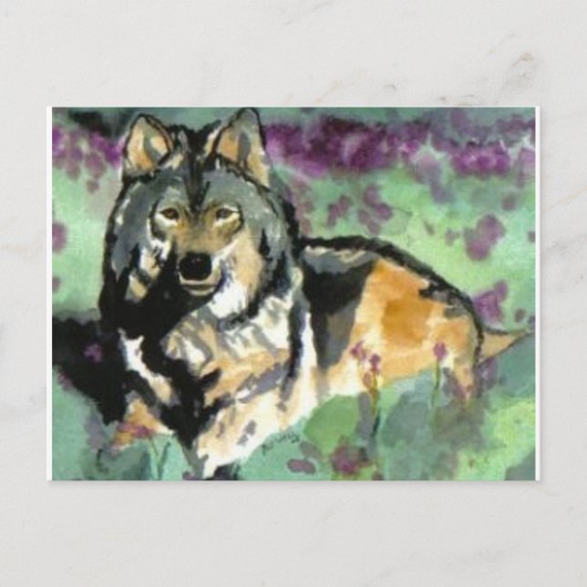Wolf by Paula Atwell Postcard (Front)