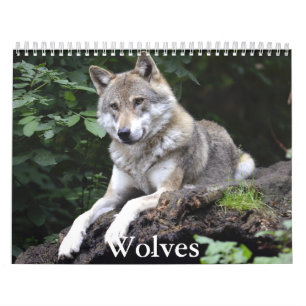 Wolf Calendar