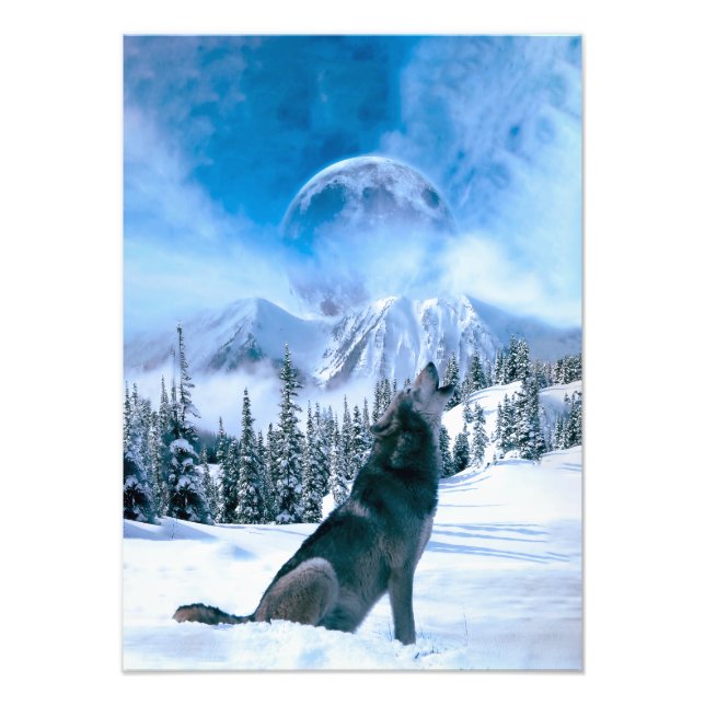 Wolf Call Photo Print (Front)