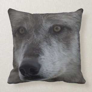 Wolf (Canus lupus) from Yellowstone National Cushion