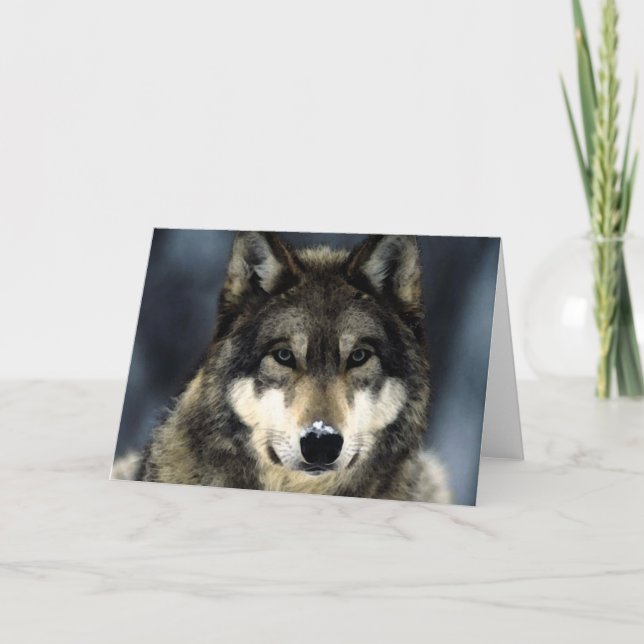 Wolf Card (Front)