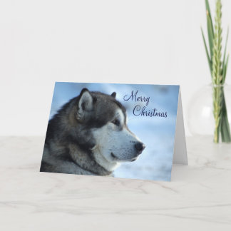 Wolf Christmas Card - Merry Christmas