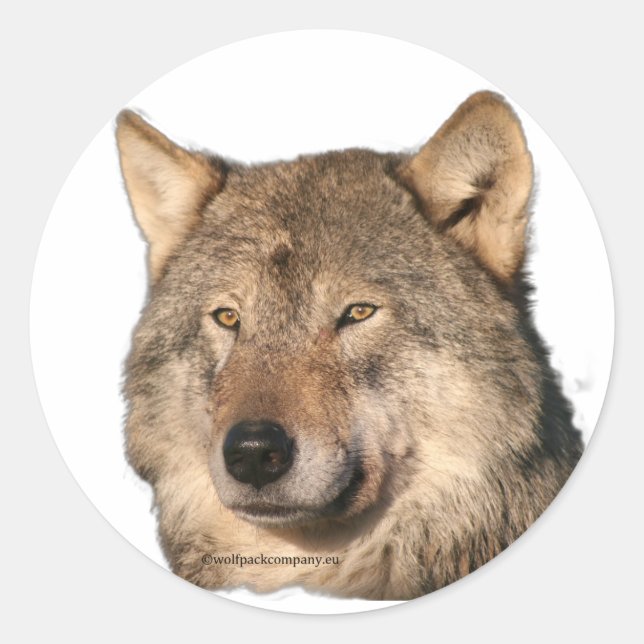 wolf classic round sticker (Front)