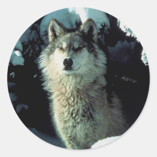Wolf Classic Round Sticker