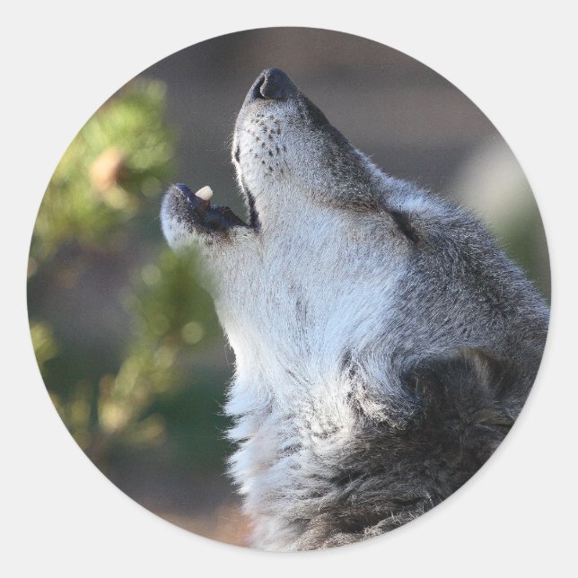 wolf classic round sticker (Front)