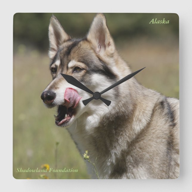 Wolf Clock (Front)
