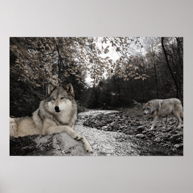Wolf Creek Brook Forest Landscape Poster (Front)