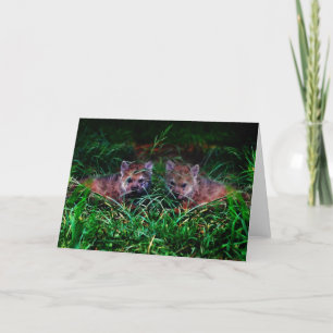 Wolf Cubs Holiday Card
