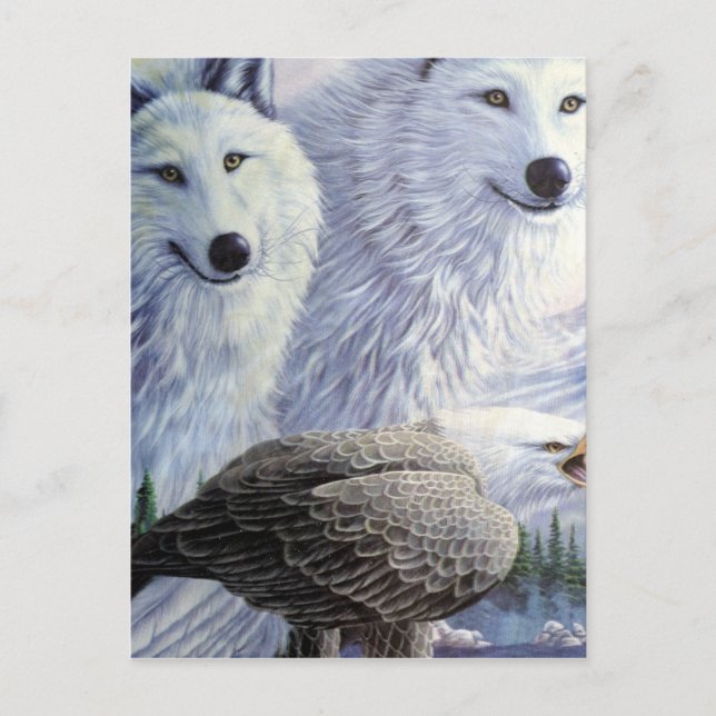 Wolf Eagle Animals Nature Park Office Business Art Postcard (Front)