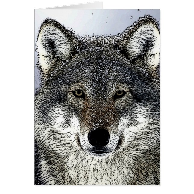 Wolf Eyes (Front)