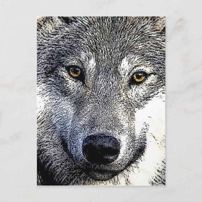 Wolf Eyes Artwork Postcard (Front)