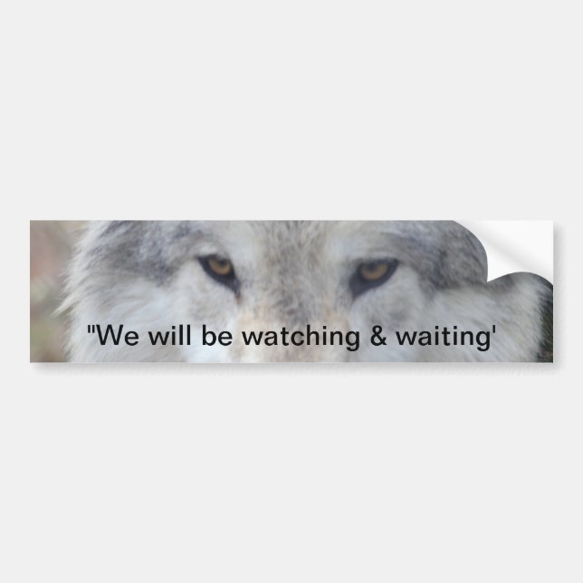 Wolf Eyes Bumper Sticker (Front)