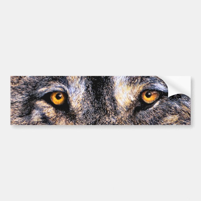 Wolf Eyes Bumper Sticker (Front)