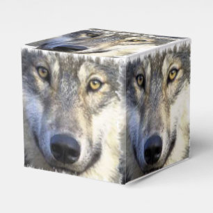 Wolf face close up favour box