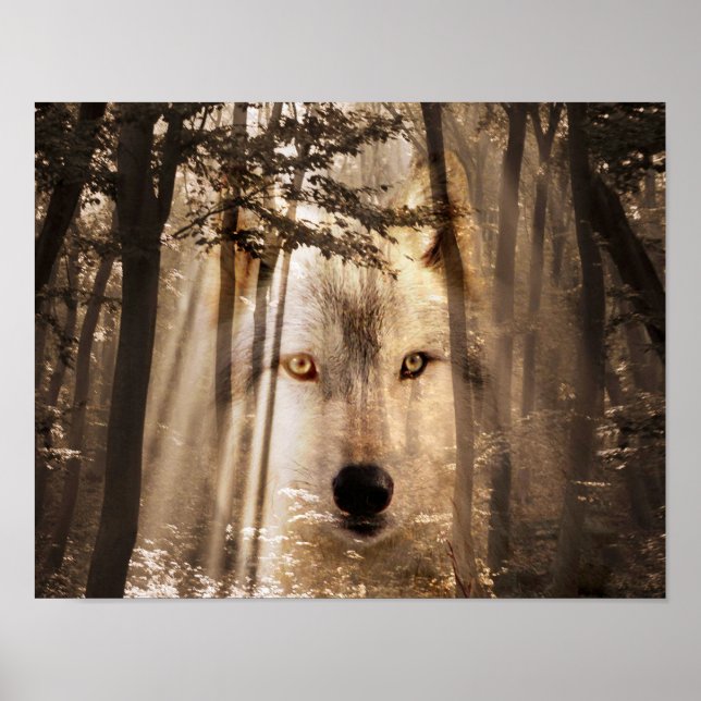 Wolf face in the woods poster (Front)