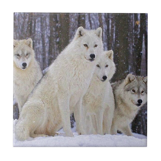Wolf Family Tile (Front)