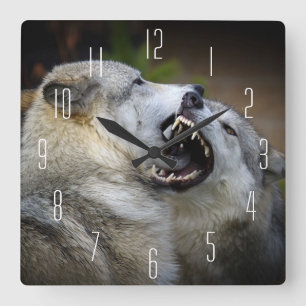 Wolf Fight Square Wall Clock