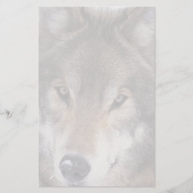 Wolf Gaze Stationery (Front)