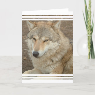 Wolf Greeting Card
