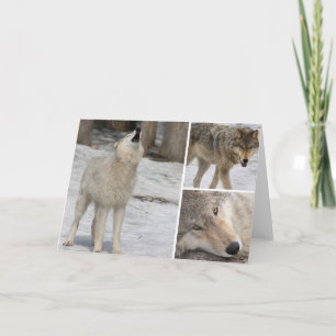 Wolf - Greeting Card - Blank Personalise It