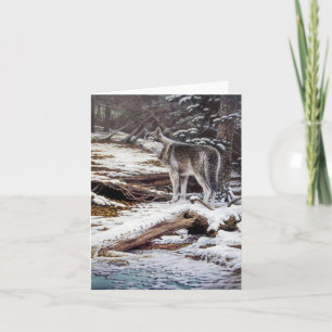 Wolf Greeting Cards