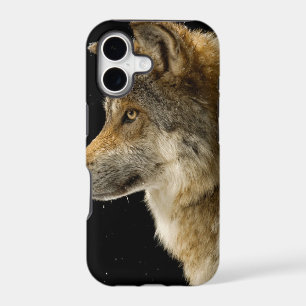 Wolf Head Side View