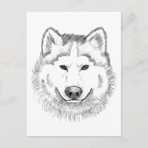 Wolf Head Sketch Postcard