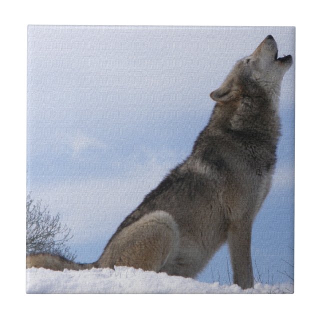 Wolf Howl Tile (Front)