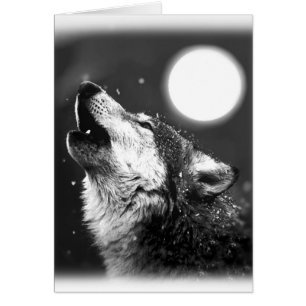 Wolf Howling at Moon