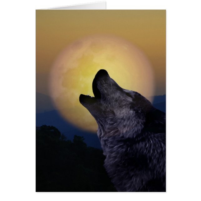 Wolf howling at the moon (Front)