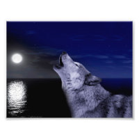Wolf howling at the moon in the sea