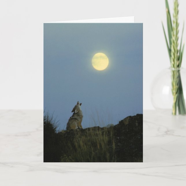 Wolf Howling Full Moon Card (Front)