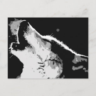 Wolf Howling Postcard