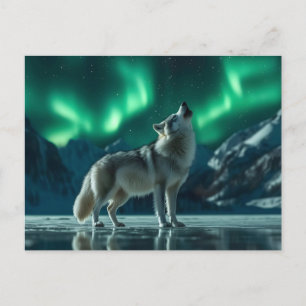 Wolf Howling Under the Northern Lights Postcard
