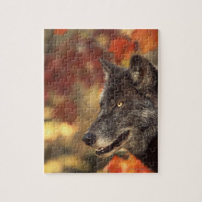 Wolf in Autumn Jigsaw Puzzle (Vertical)