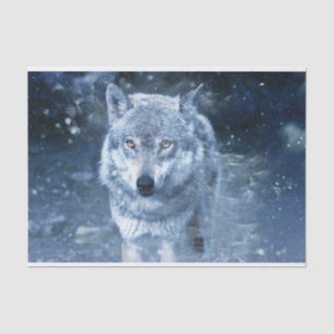 Wolf in Blizzard Tissue Paper