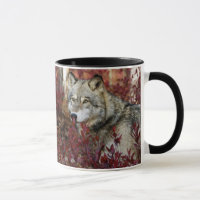 Wolf In Fall Foliage