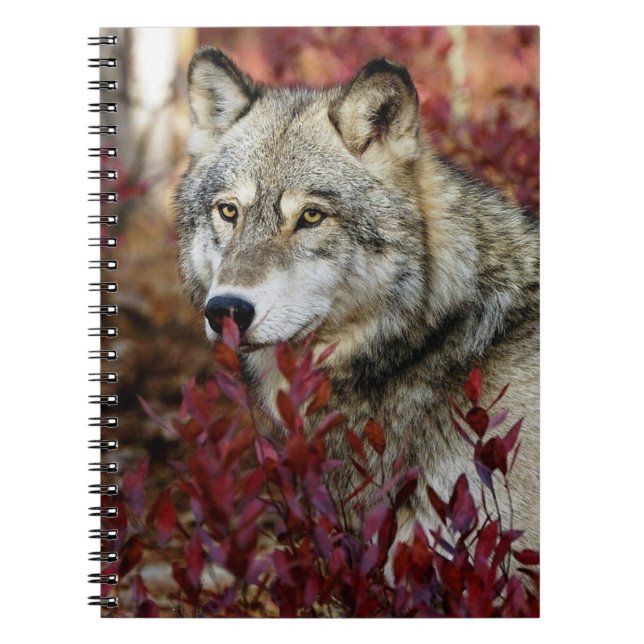 Wolf In Fall Foliage Notebook (Front)