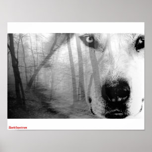Wolf in Forest Poster   DarkSpectrum original