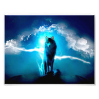 Wolf in the thunderstorm