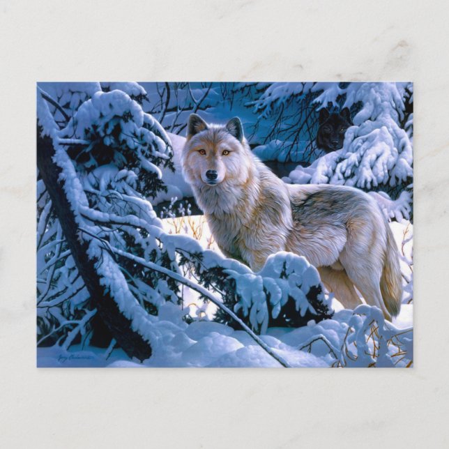 Wolf in the winter forest painting postcard (Front)