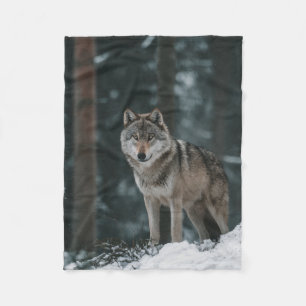 Wolf in Winter Fleece Blanket