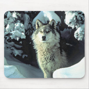 Wolf In Winter Forest Gaze Mouse Pad