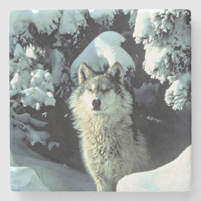 Wolf in Winter Forest Wildlife Art Stone Coaster (Front)