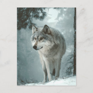 Wolf in Winter Postcard