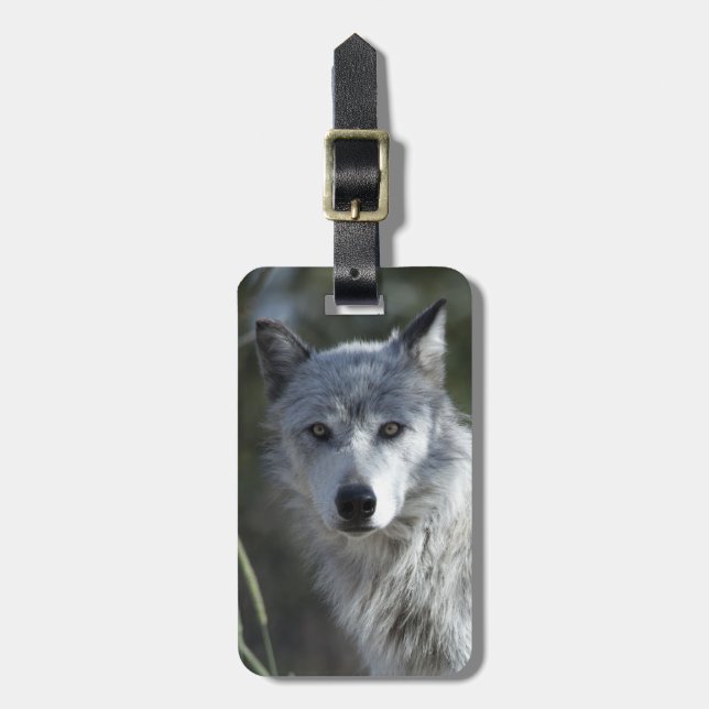 Wolf in Yellowstone Luggage Tag (Front Vertical)